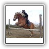 Bild 1 (10)