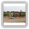 Bild 1 (11)