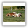 Bild 1 (12)