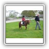 Bild 1 (14)