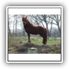 Bild 1 (16)
