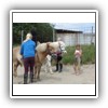 Bild 1 (23)