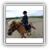 Bild 1 (24)