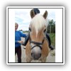 Bild 1 (26)