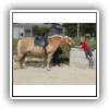 Bild 1 (27)