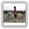 Bild 1 (28)
