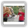 Bild 1 (29)