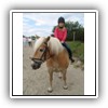 Bild 1 (31)