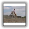 Bild 1 (36)