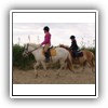 Bild 1 (37)