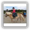 Bild 1 (38)