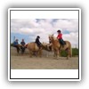Bild 1 (39)