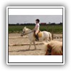 Bild 1 (5)