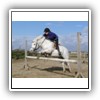 Bild 1 (6)