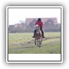 Bild 1 (8)