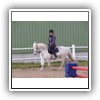 Bild 1 (9)