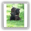Bild 1 (12)