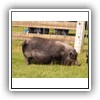 Bild 1 (13)
