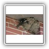 Bild 1 (15)