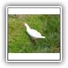 Bild 1 (16)