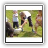Bild 1 (17)