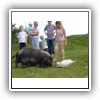 Bild 1 (18)