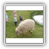 Bild 1 (19)