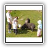 Bild 1 (21)