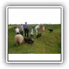 Bild 1 (23)