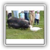 Bild 1 (24)