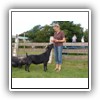 Bild 1 (25)