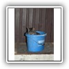 Bild 1 (26)