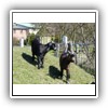 Bild 1 (27)