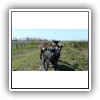 Bild 1 (28)