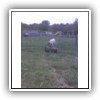 Bild 1 (3)