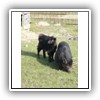 Bild 1 (4)