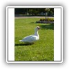 Bild 1 (5)