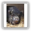 Bild 1 (8)